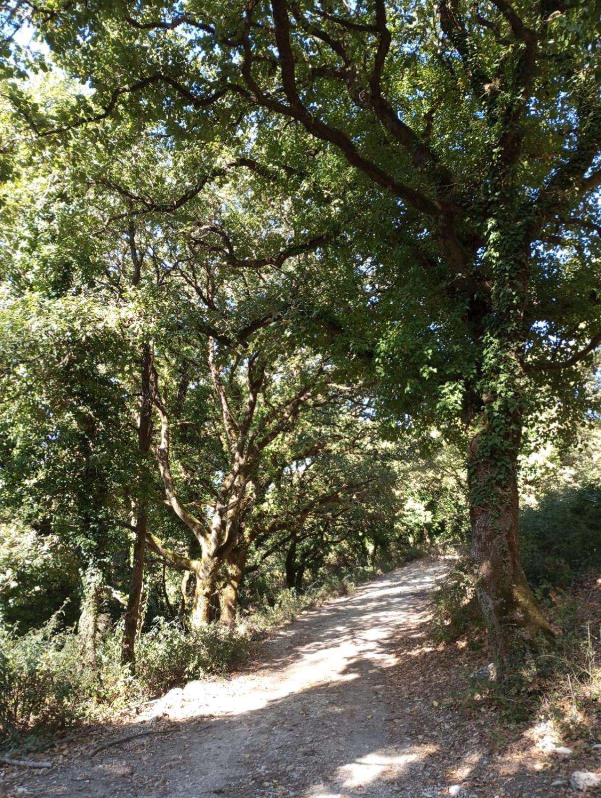 Santa Margherita di BeliceLa Casa Di Enzaアパートメント エクステリア 写真